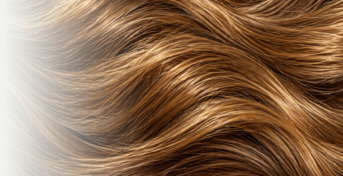 Hair+